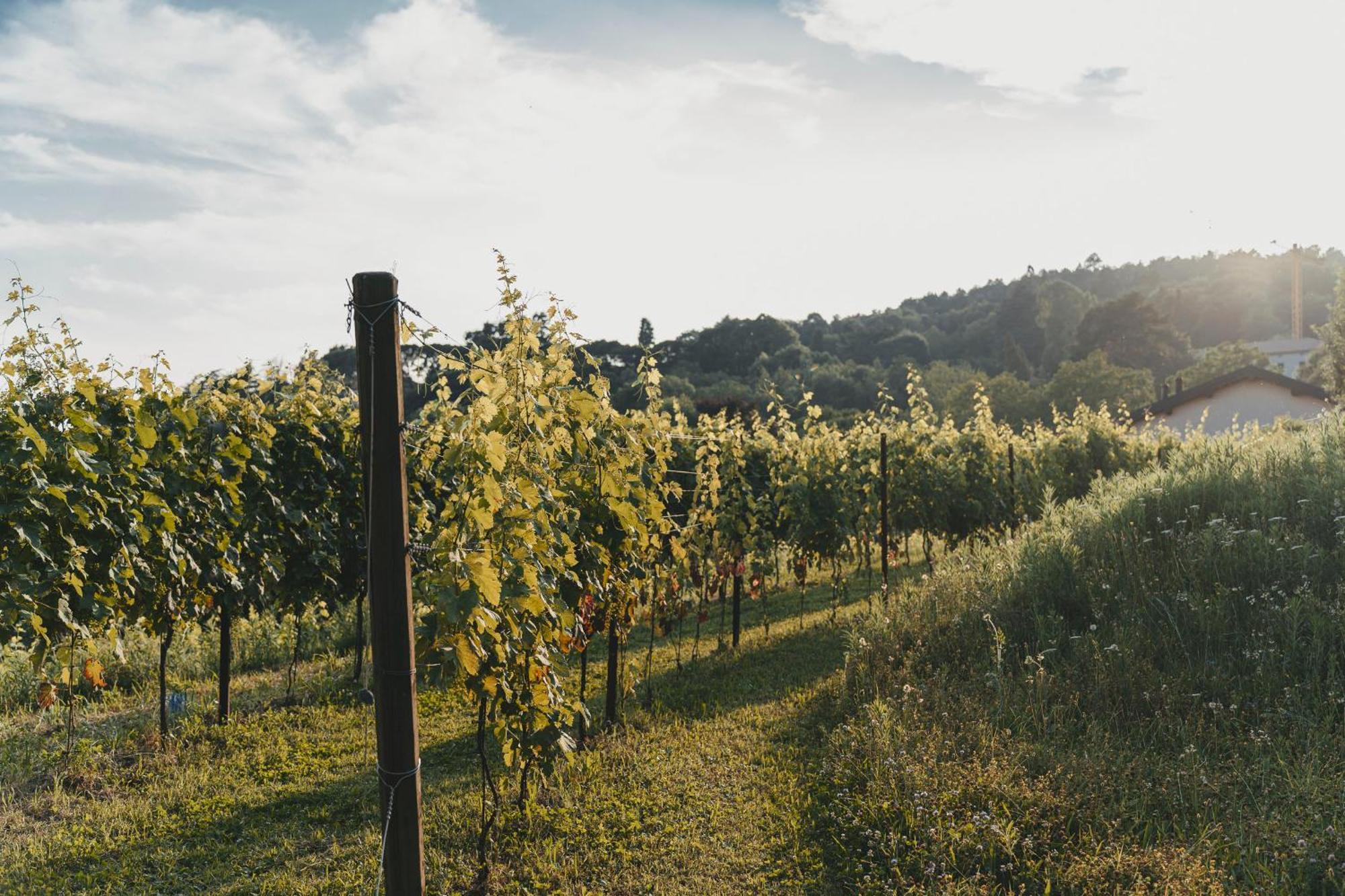 Tenuta Ronco Regio San Fermo della Battaglia المظهر الخارجي الصورة